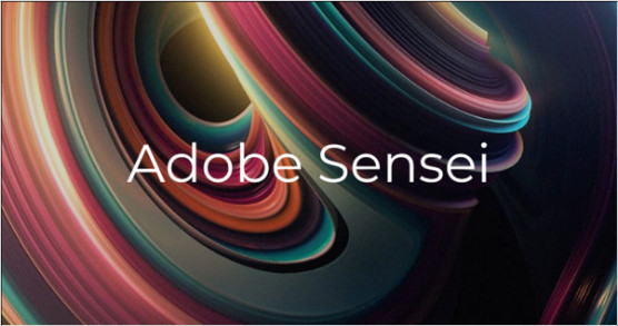 Adobe Sensie Editing Software